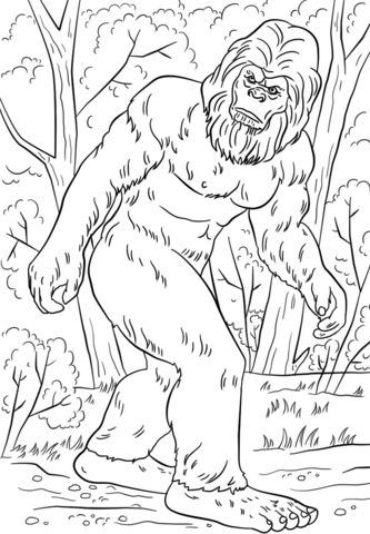 Yeti (this is totally what they look like)
